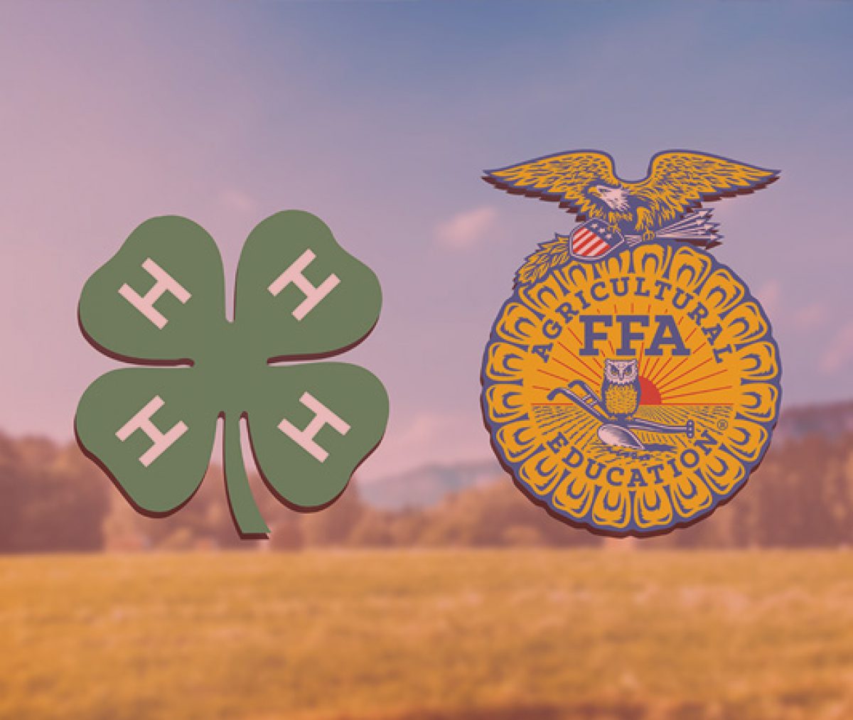 4-H and FFA logo